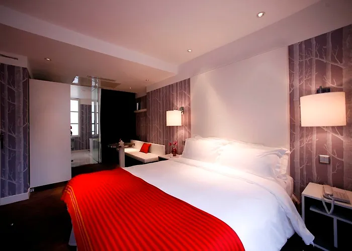 Le Placide Saint-germain Des Pres 4*